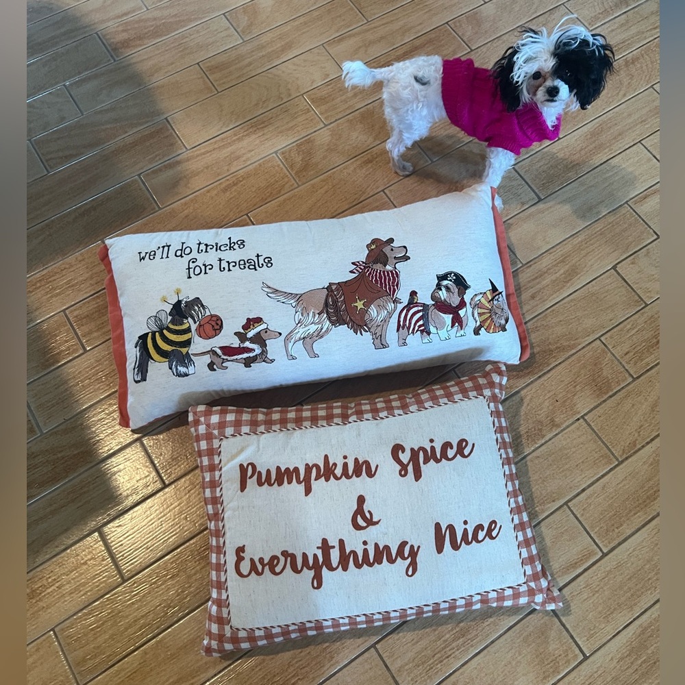 Pier 1 Fall Pillows